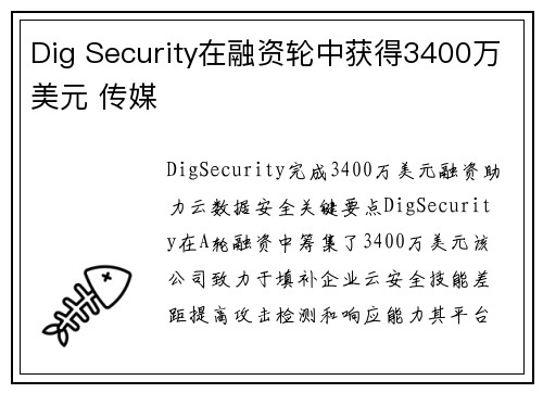 Dig Security在融资轮中获得3400万美元 传媒