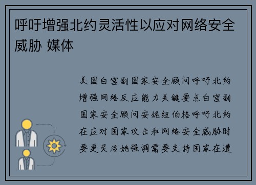 呼吁增强北约灵活性以应对网络安全威胁 媒体